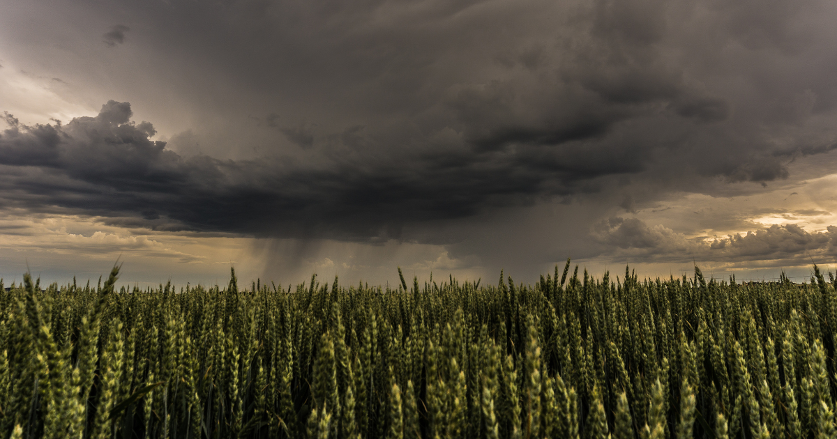 La crisi climatica costa all'Italia 16 miliardi all'anno