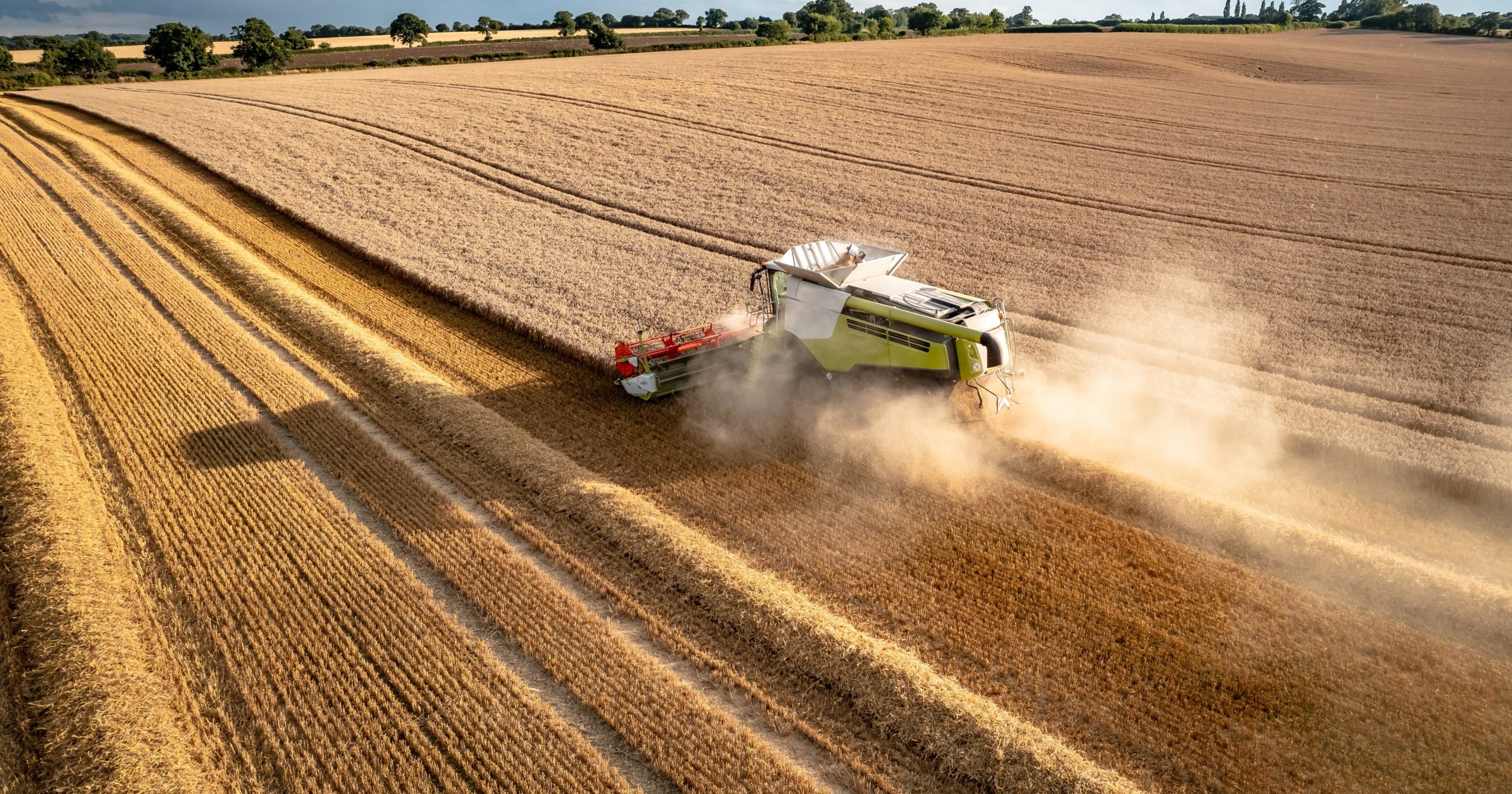 Produzione di cereali nell’Ue 2024/25: un anno di riduzioni e sfide climatiche