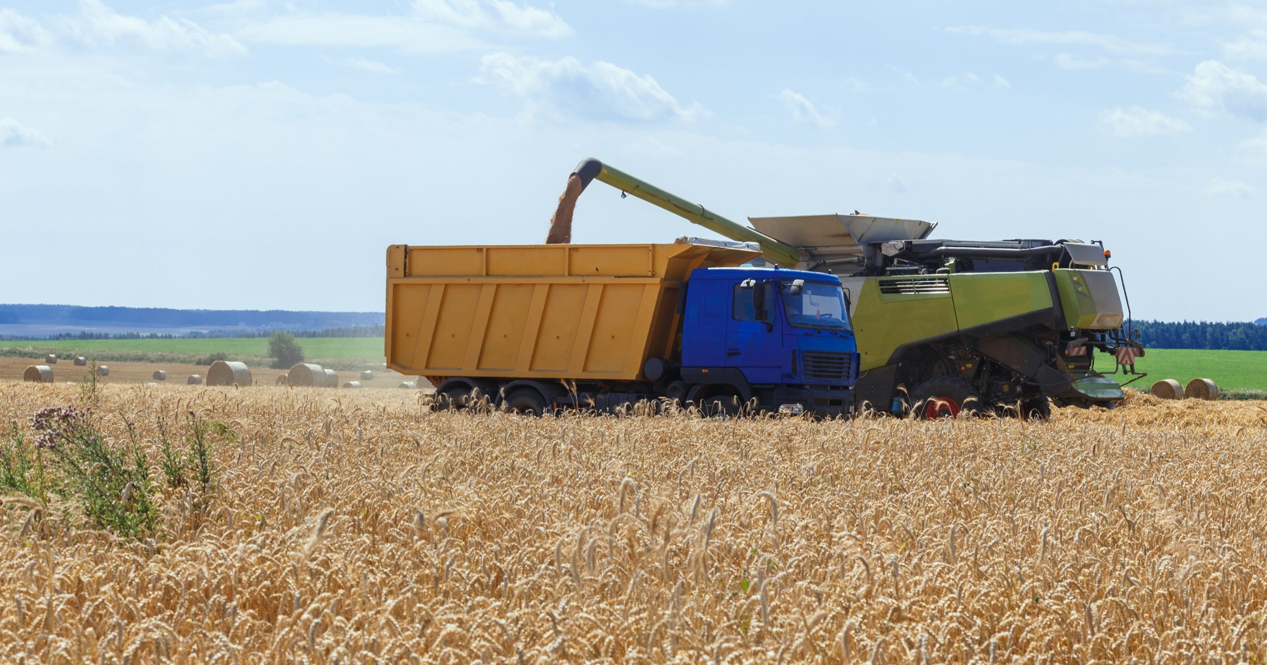 Nuove vie per la crescita dell’industria molitoria italiana